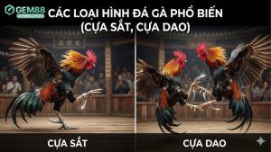 cac-loai-hinh-da-ga-pho-bien-cua-sat-cua-dao