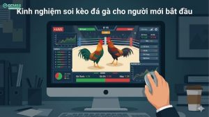 kinh-nghiem-soi-keo-da-ga-cho-nguoi-moi-bat-dau